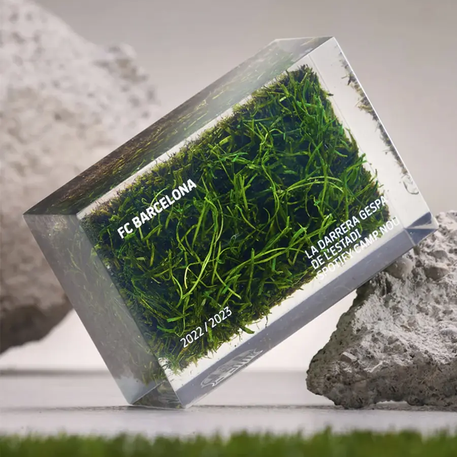 Methacrylate with Grass from Spotify Camp Nou
